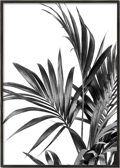 Botanisk plakat palmer i sort og hvid