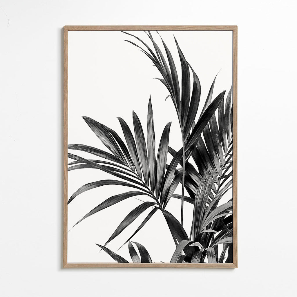 Botanisk plakat palmer i sort og hvid