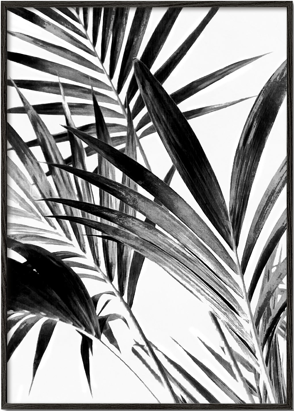Botanisk plakat palmeblade i sort-hvid