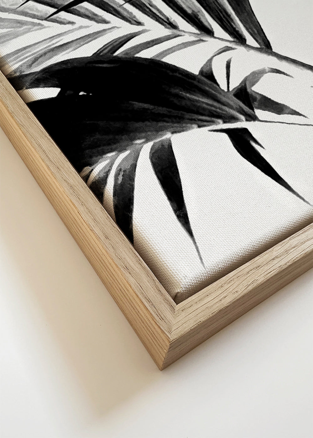 Botanisk plakat palmeblade i sort-hvid
