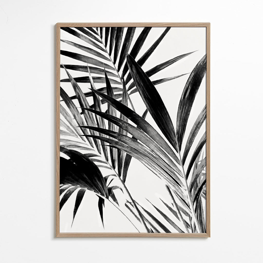 Botanisk plakat palmeblade i sort-hvid