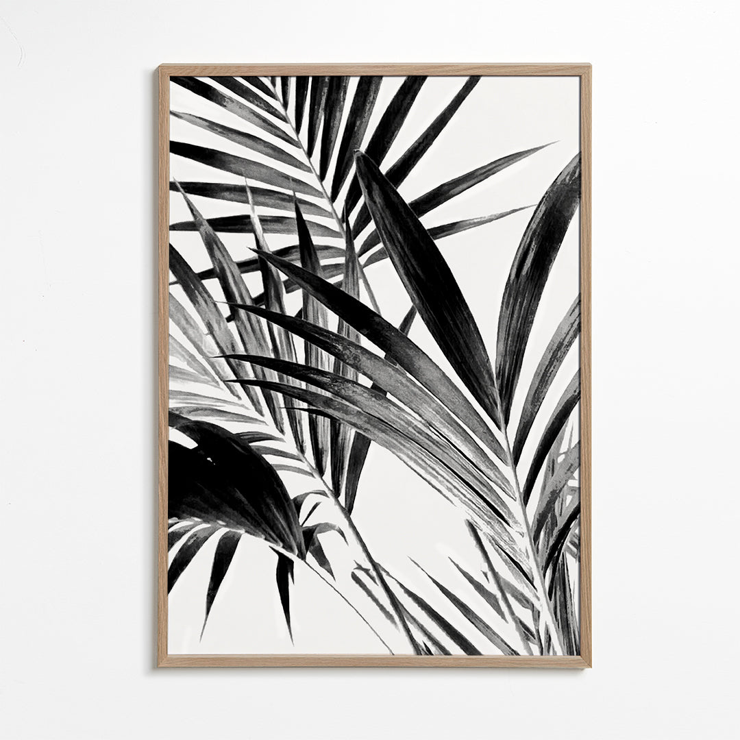 Botanisk plakat palmeblade i sort-hvid