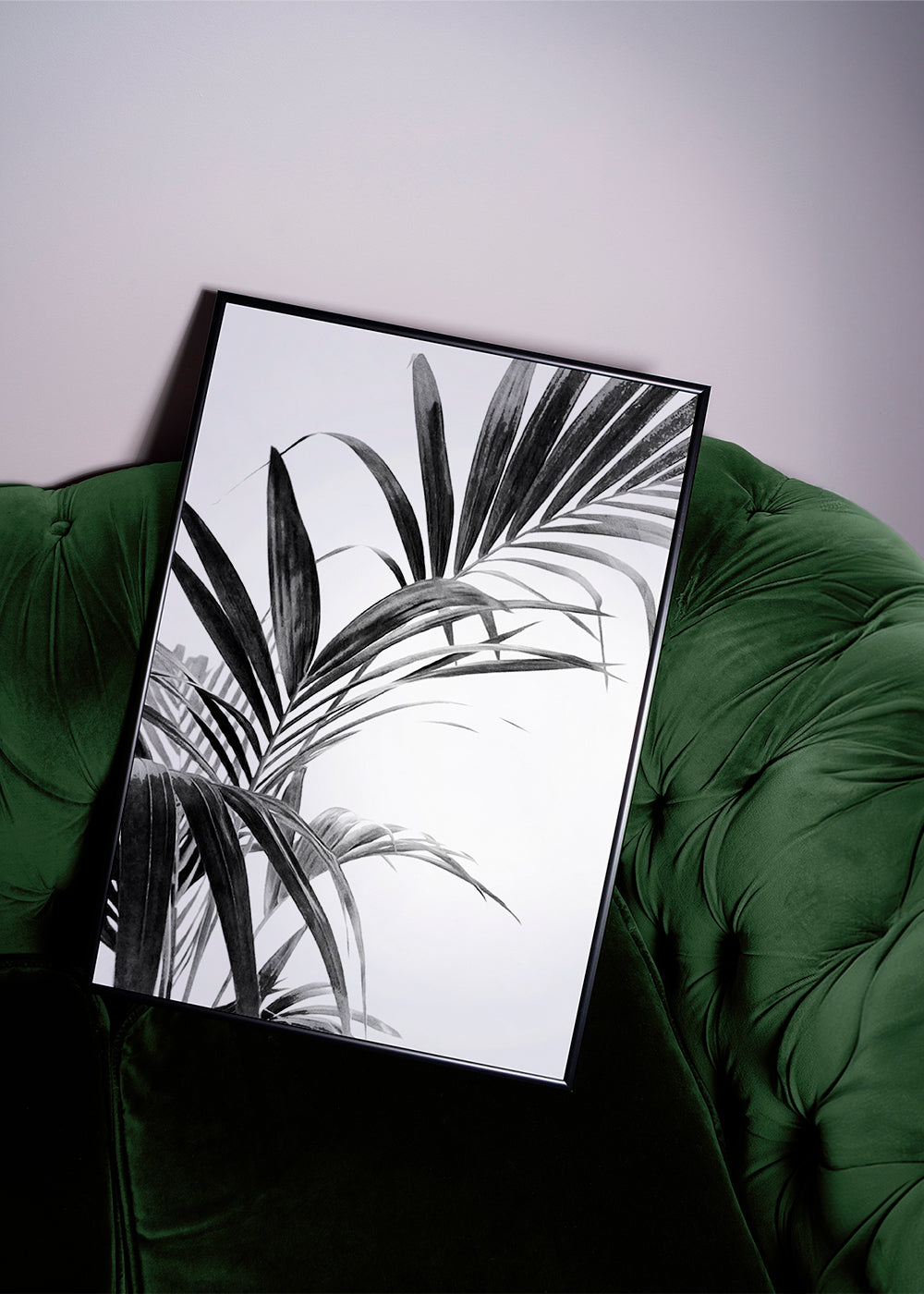 Botanisk plakat: palmeblade i sort-hvid