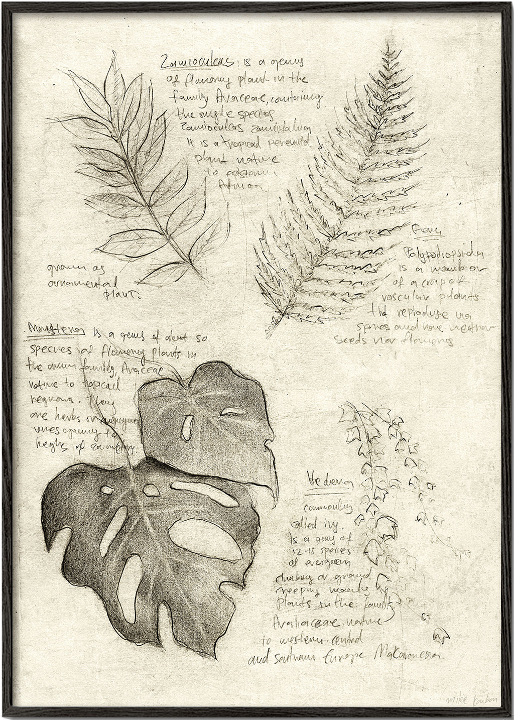 Botanisk plakat med bladstudie