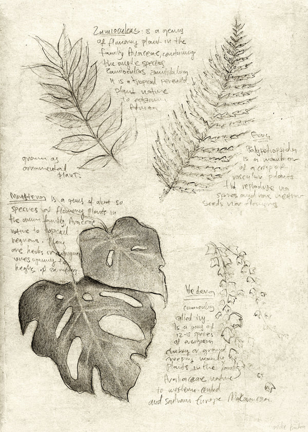 Botanisk plakat med bladstudie