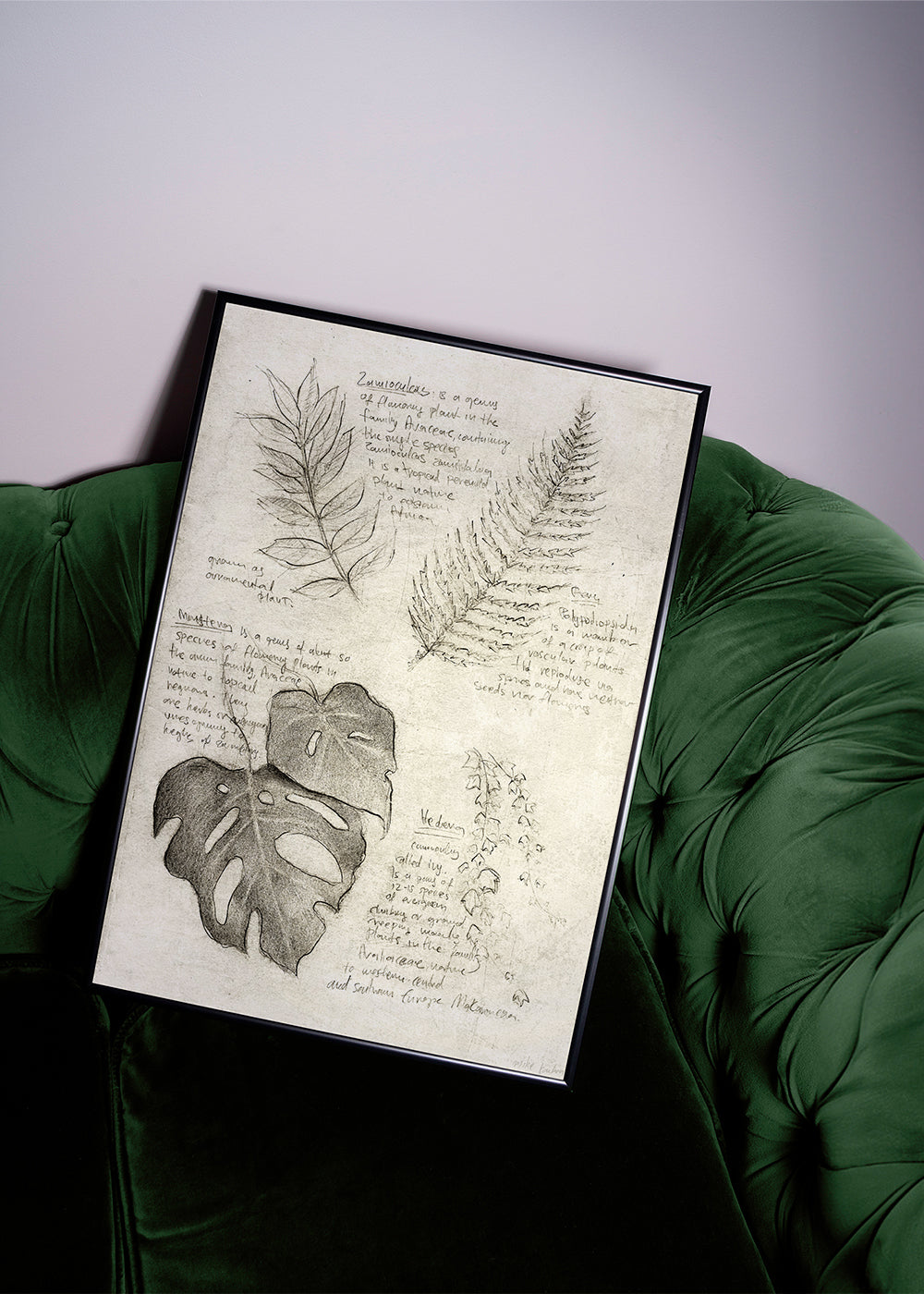 Botanisk plakat med bladstudie