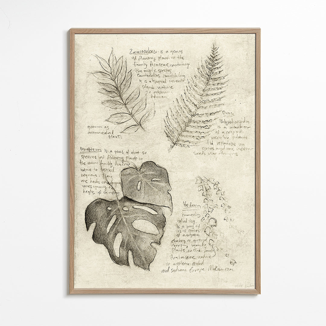 Botanisk plakat med bladstudie