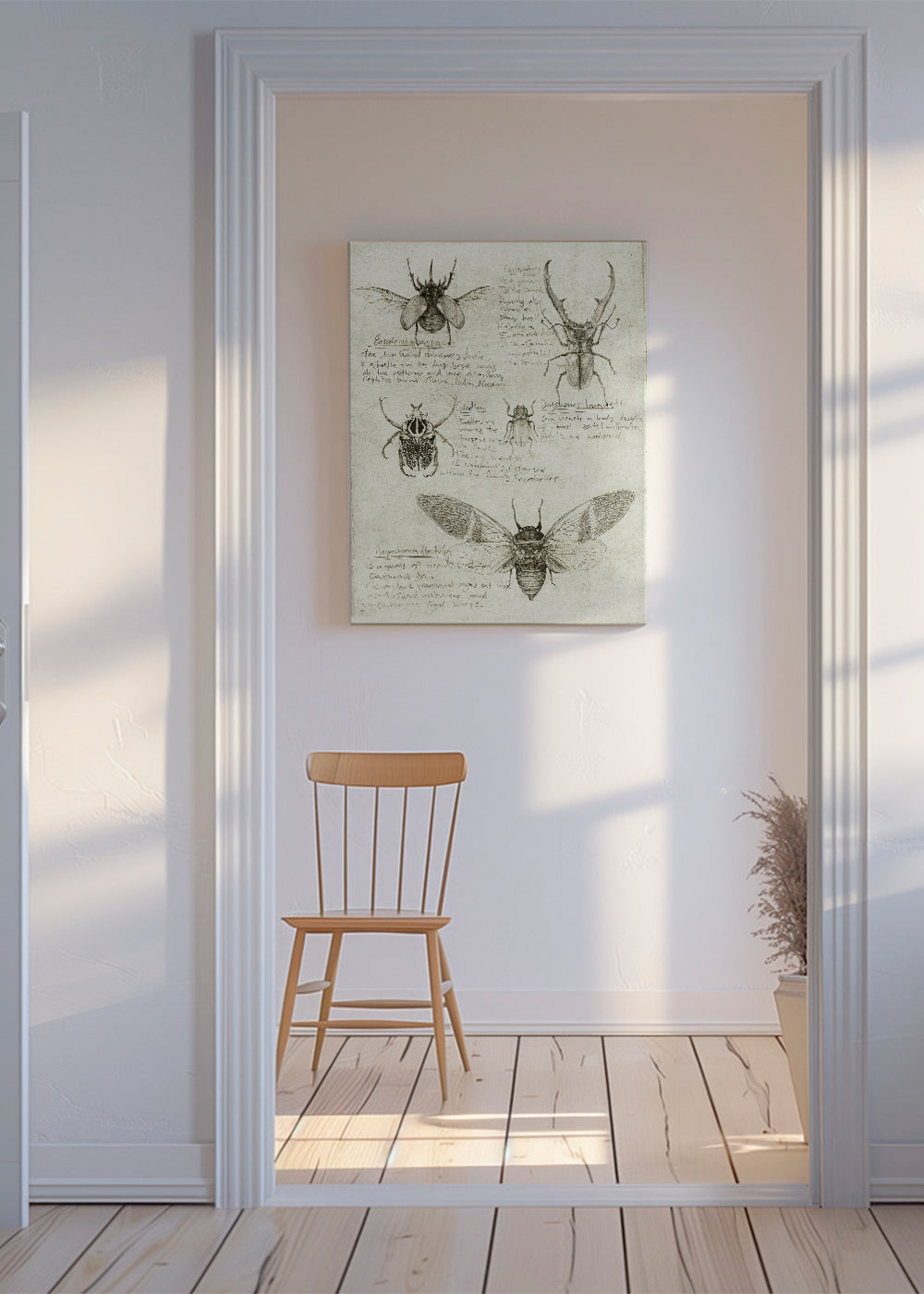 Videnskabelig insektillustration på gammelt papir