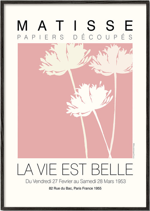 Botanisk plakat Matisse rosa udklip