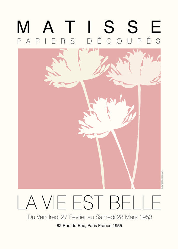 Botanisk plakat Matisse rosa udklip