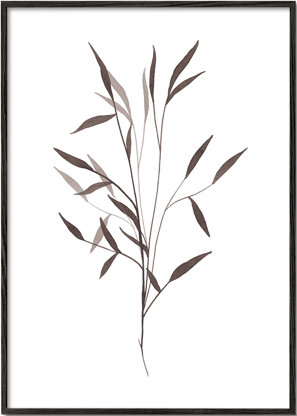 Botanisk plakat slank gren