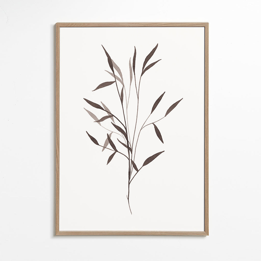 Botanisk plakat slank gren