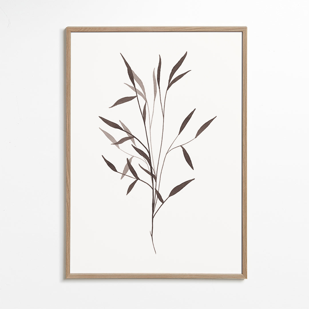Botanisk plakat slank gren