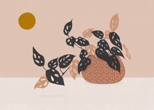 Botanisk plakat med potteplante