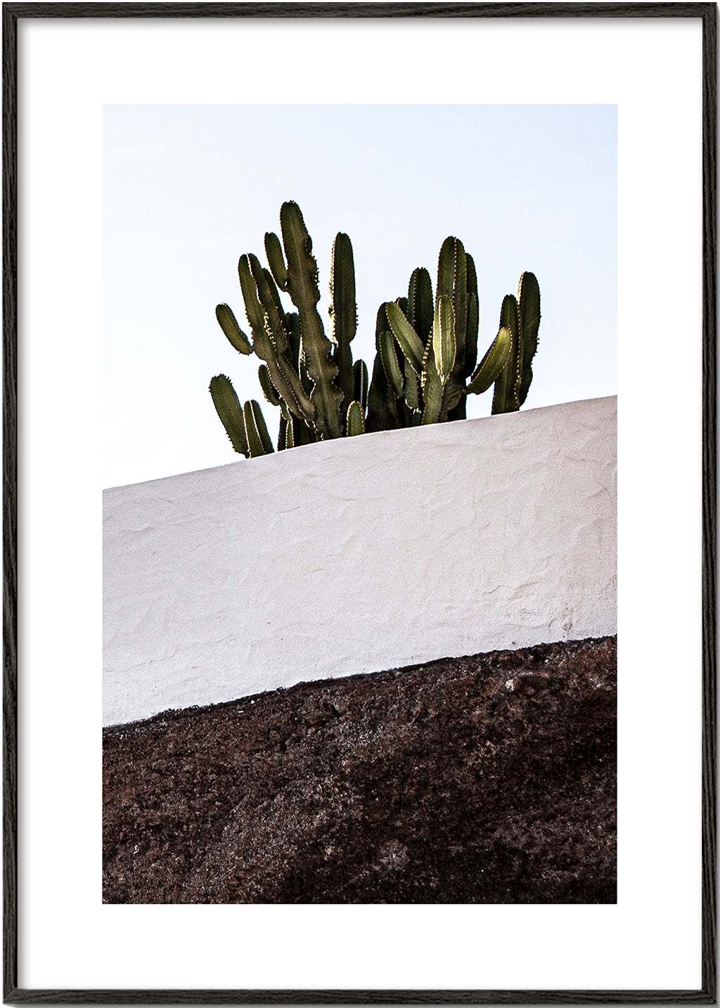 Botanisk plakat lodret med kaktus mod væg