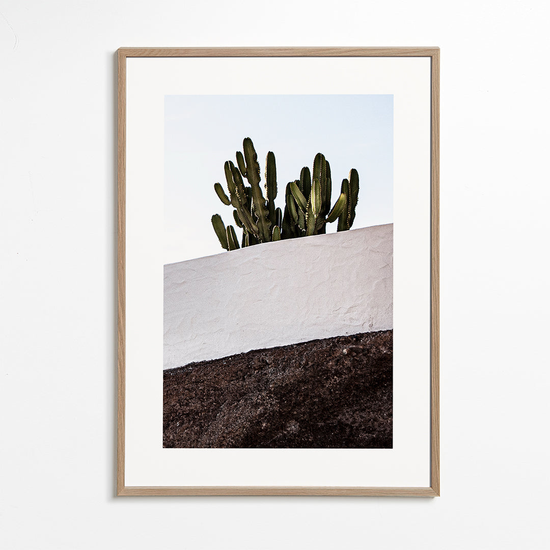 Botanisk plakat lodret med kaktus mod væg