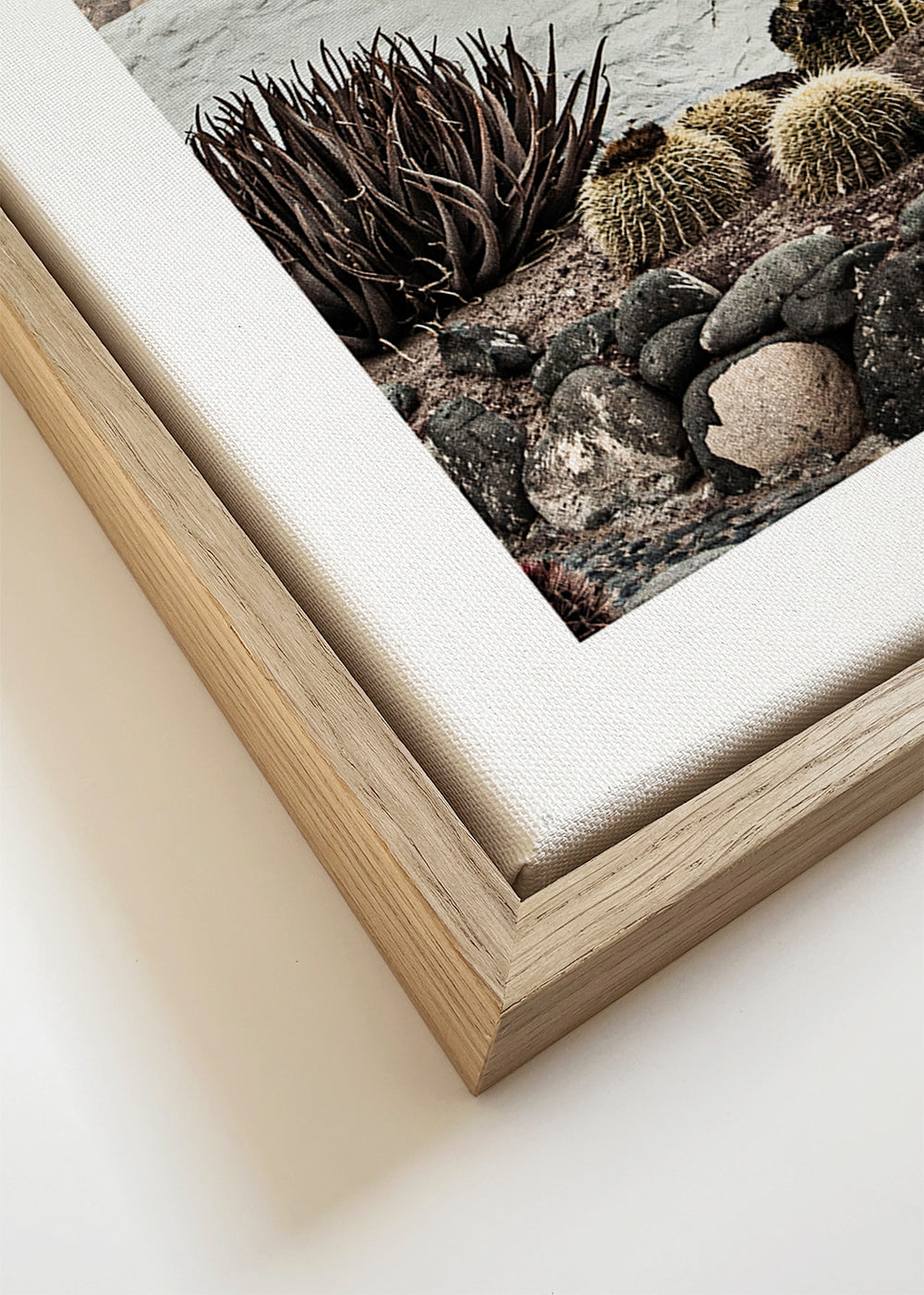 Botanisk plakat med kaktus og vulkansk kam