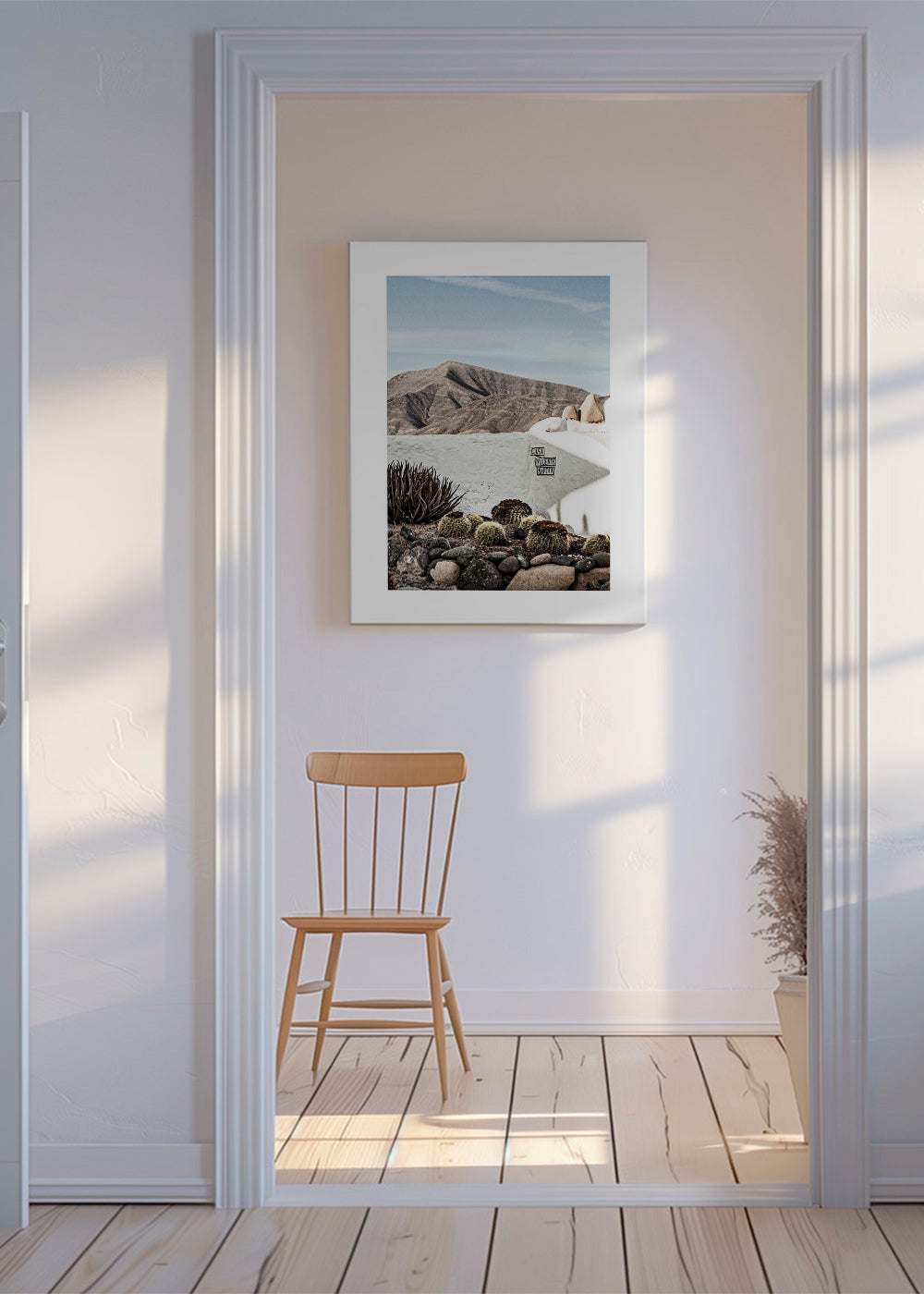 Botanisk plakat med kaktus og vulkansk kam