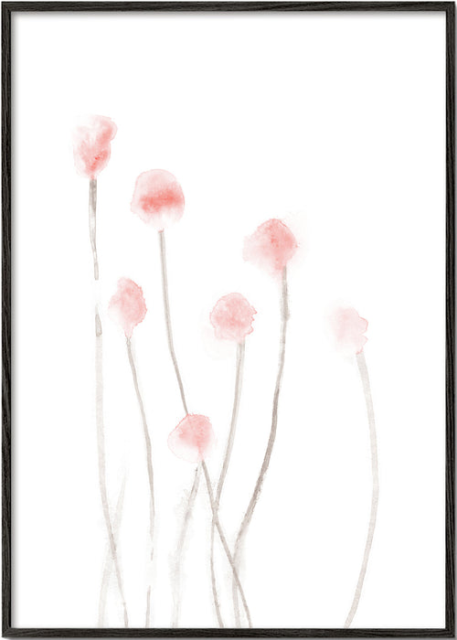 Botanisk plakat med sarte lyserøde blomster