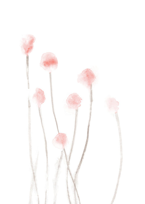 Botanisk plakat med sarte lyserøde blomster