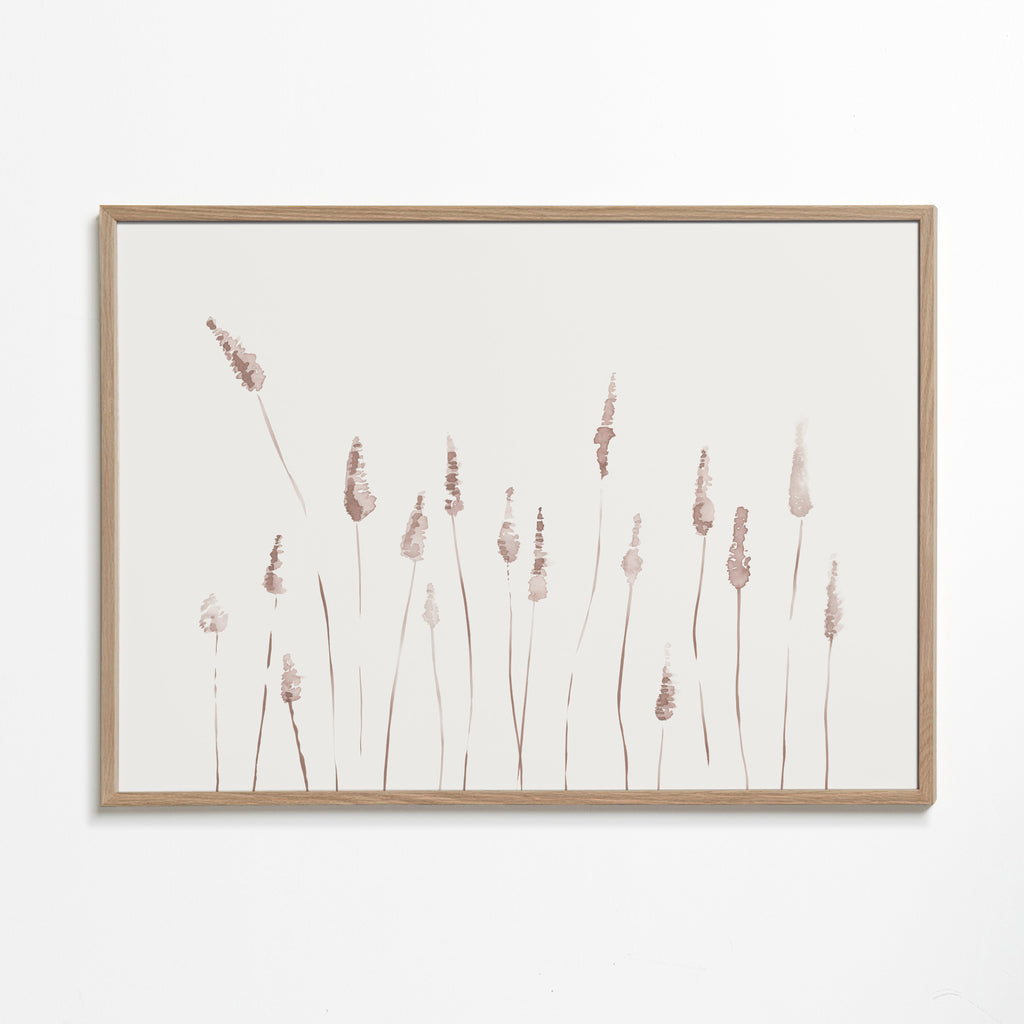 Botanisk plakat med sarte aks