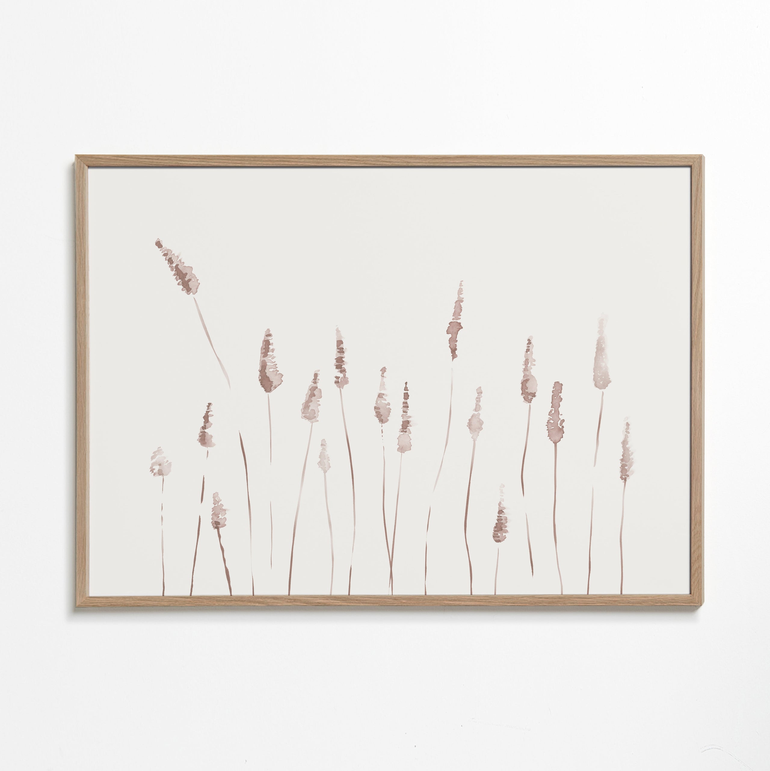 Botanisk plakat med sarte aks