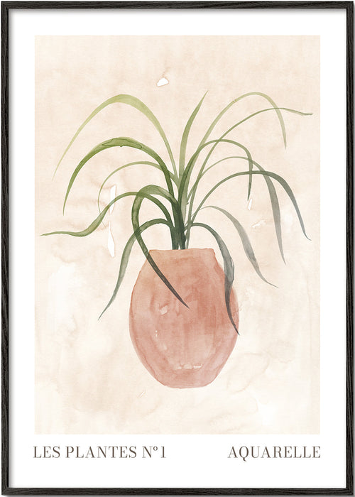 Botanisk plakat: plante i pot akvarel