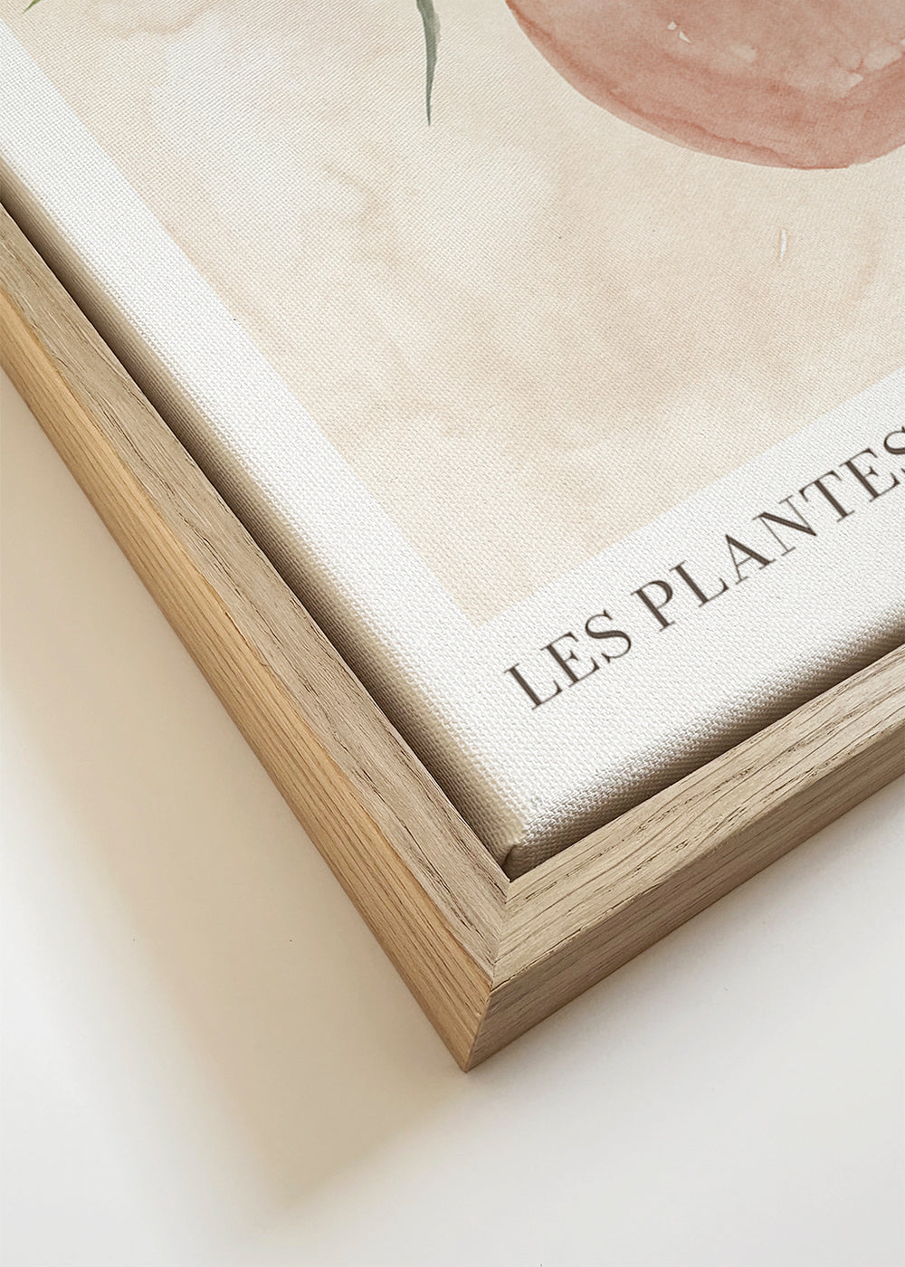 Botanisk plakat: plante i pot akvarel
