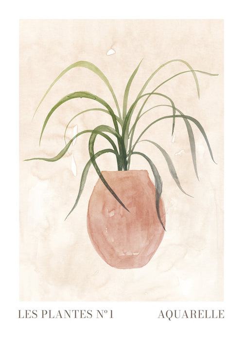 Botanisk plakat: plante i pot akvarel