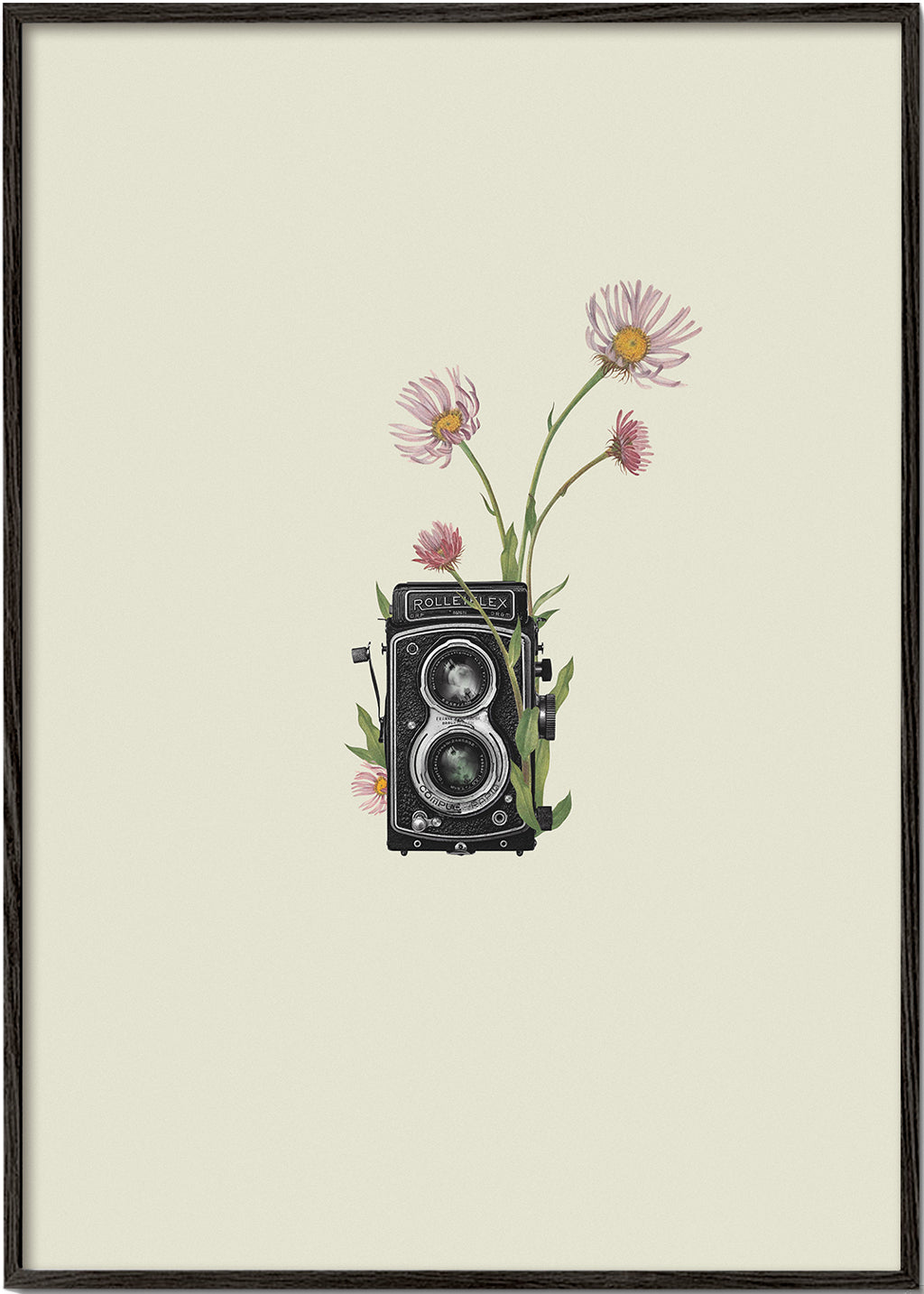Botanisk plakat med vintage-kamera og tusindfryd