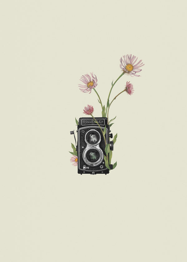 Botanisk plakat med vintage-kamera og tusindfryd
