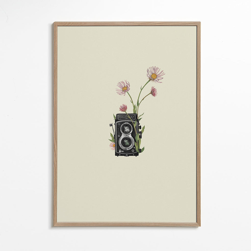 Botanisk plakat med vintage-kamera og tusindfryd