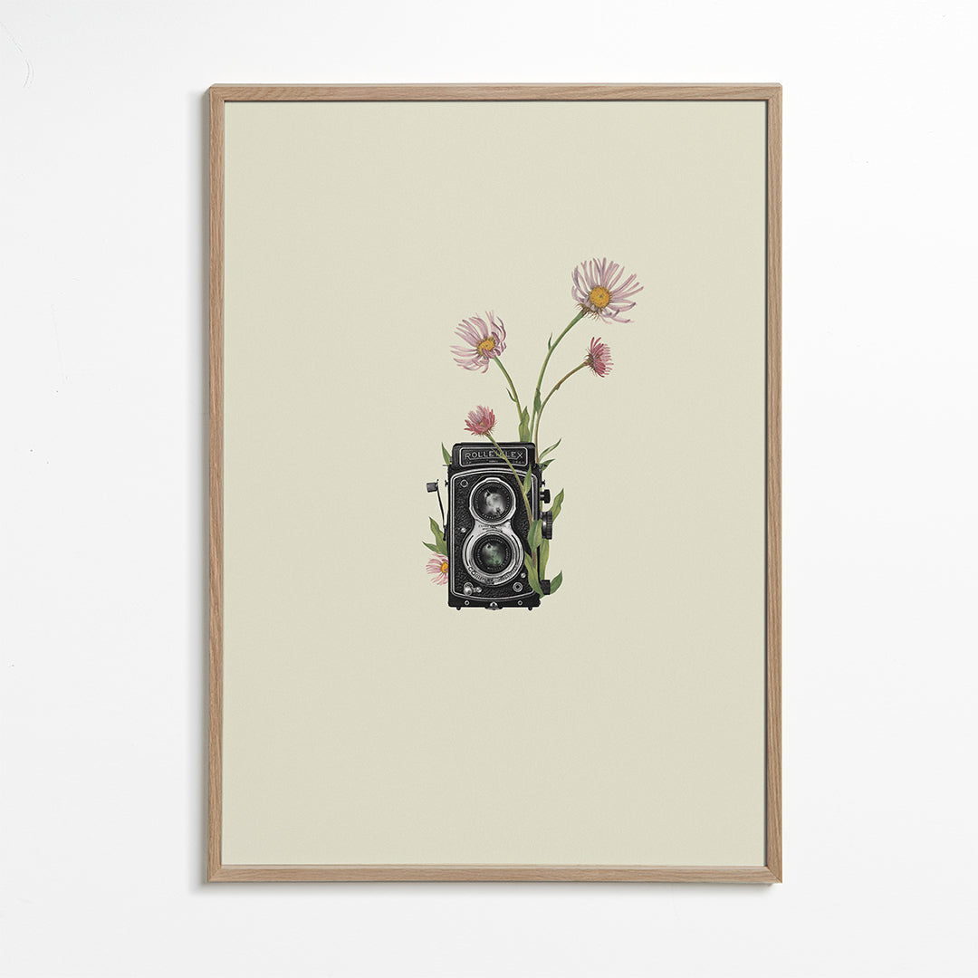 Botanisk plakat med vintage-kamera og tusindfryd