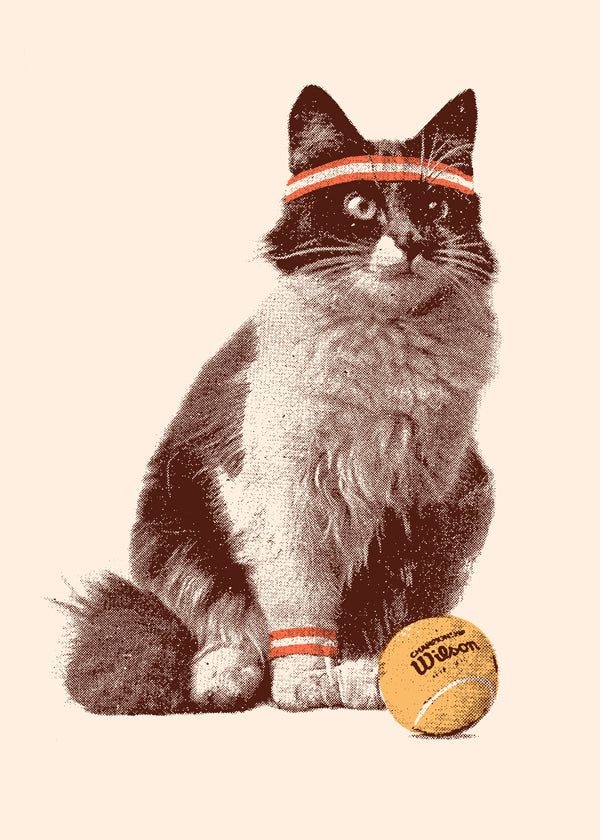 Kat med tennisbold