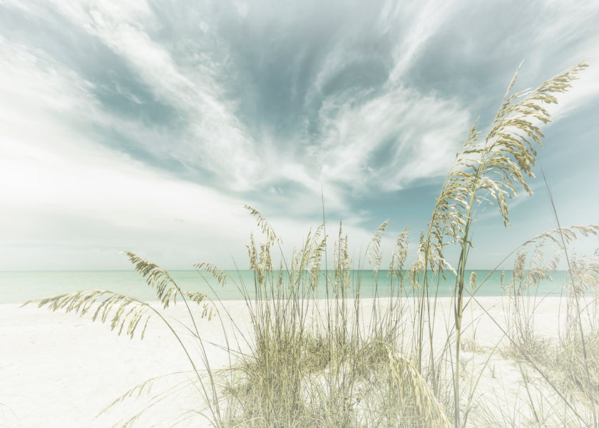 Landskabskunst: rolig strand med marehalm
