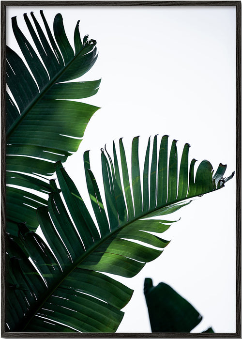 Botanisk plakat grønne blade vertikal