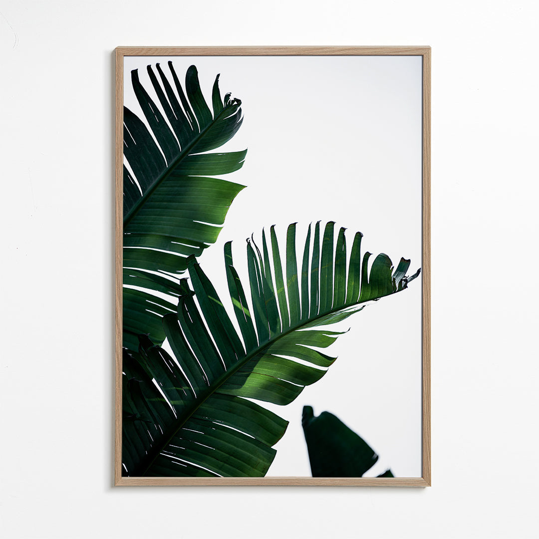 Botanisk plakat grønne blade vertikal