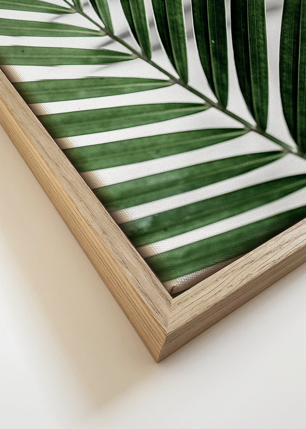 Botanisk plakat med palmeblad tæt på