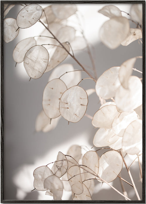 Botanisk plakat gennemsigtige blade foto