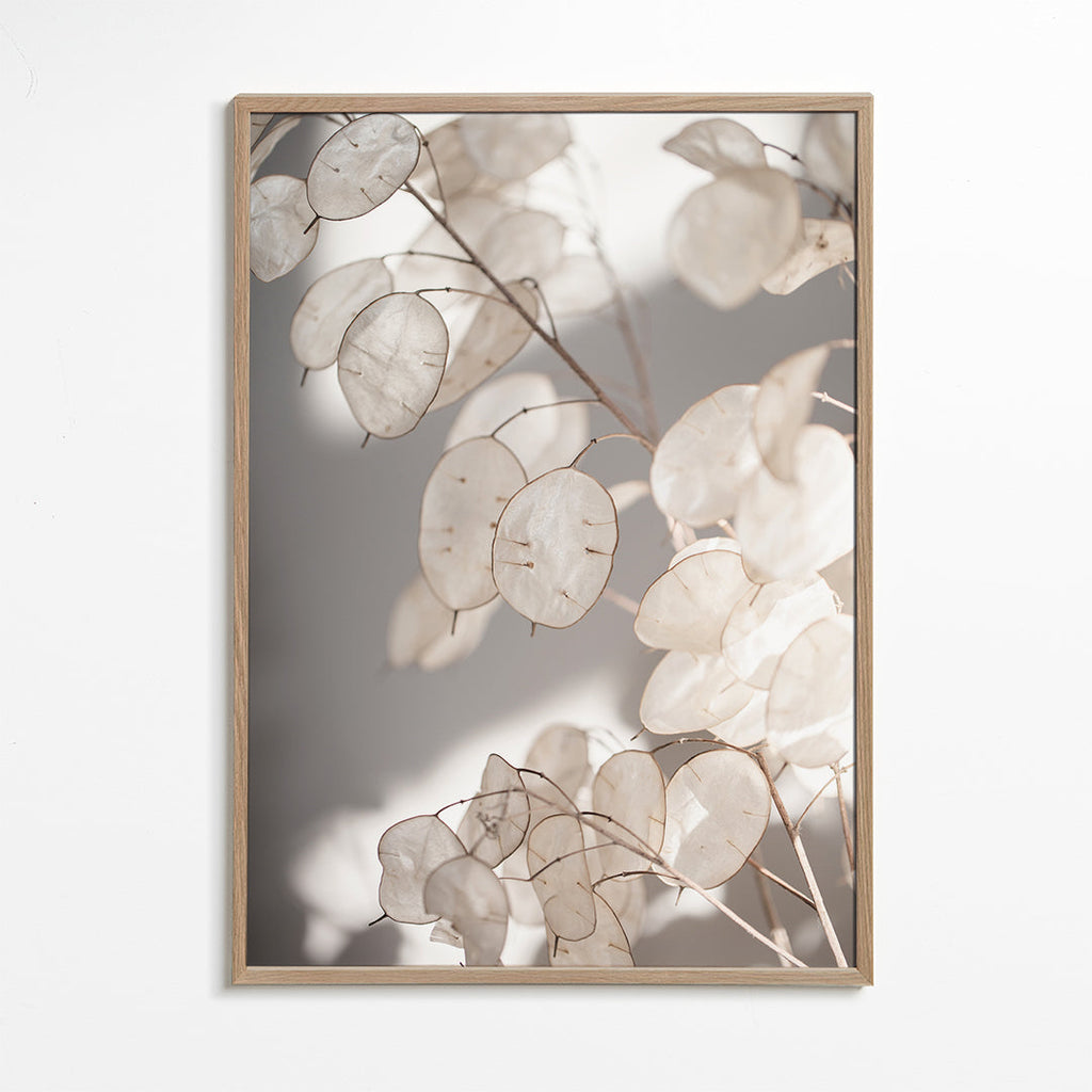 Botanisk plakat gennemsigtige blade foto