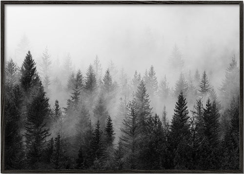 Sort-hvid kunst: tåget skov panoramisk