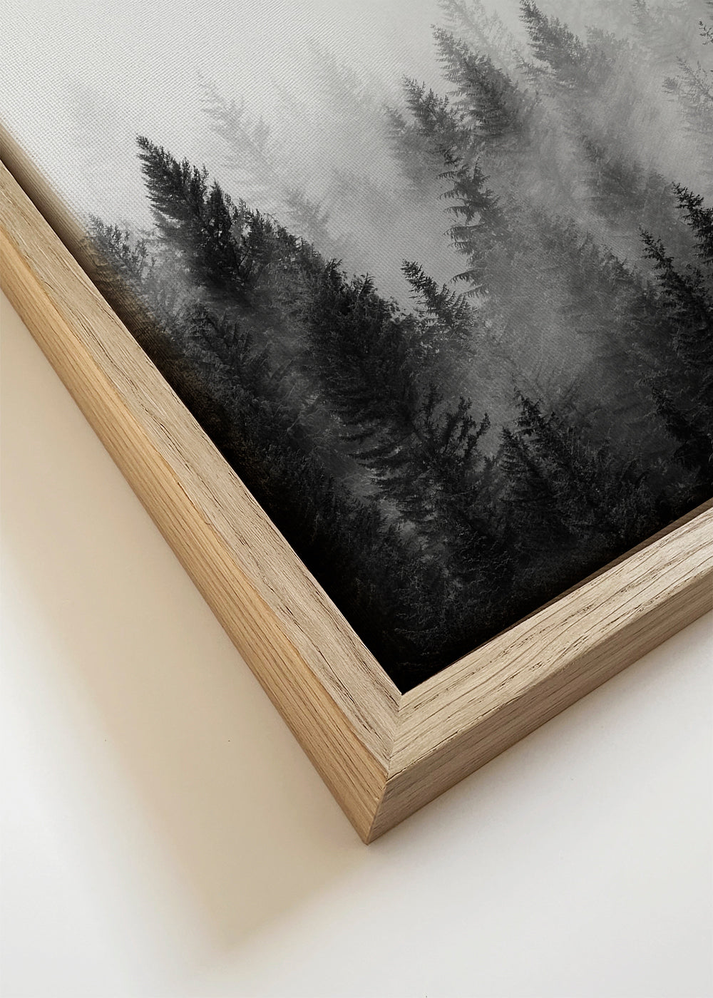 Sort-hvid kunst: tåget skov panoramisk