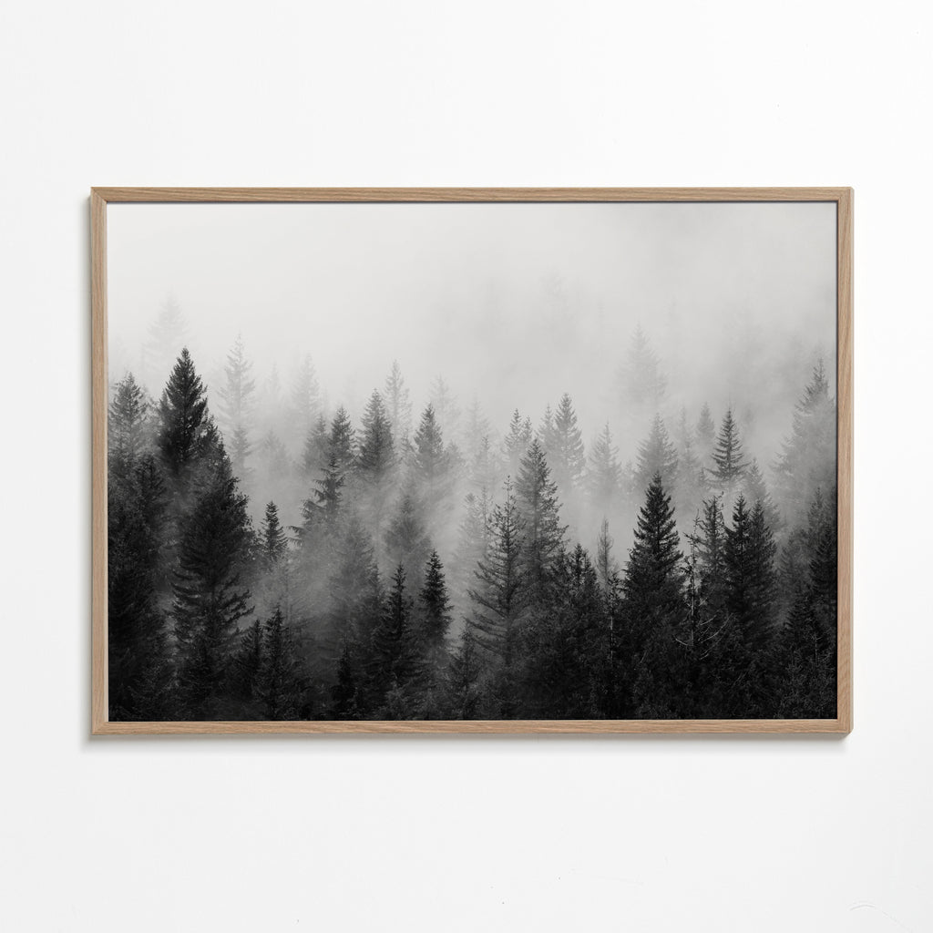 Sort-hvid kunst: tåget skov panoramisk