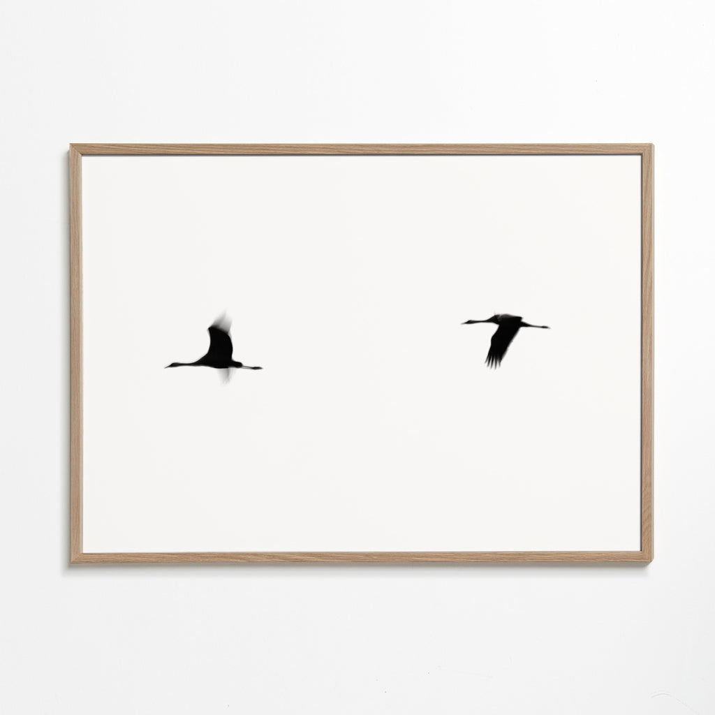 Kunst kraner i flugt minimalistisk