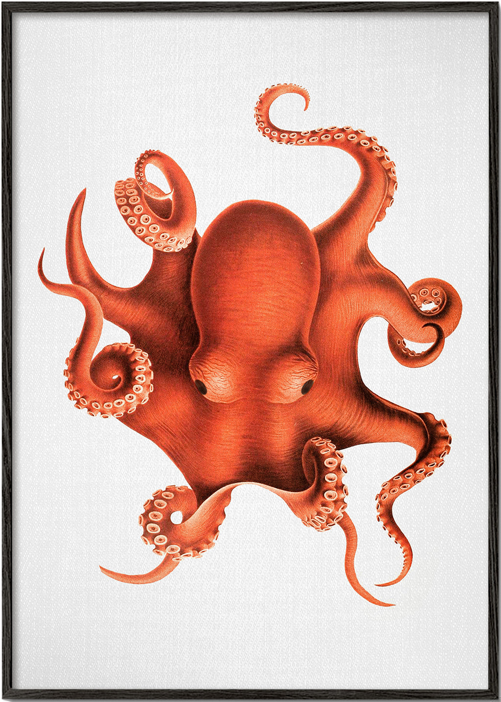 Blotfiskillustration i rød
