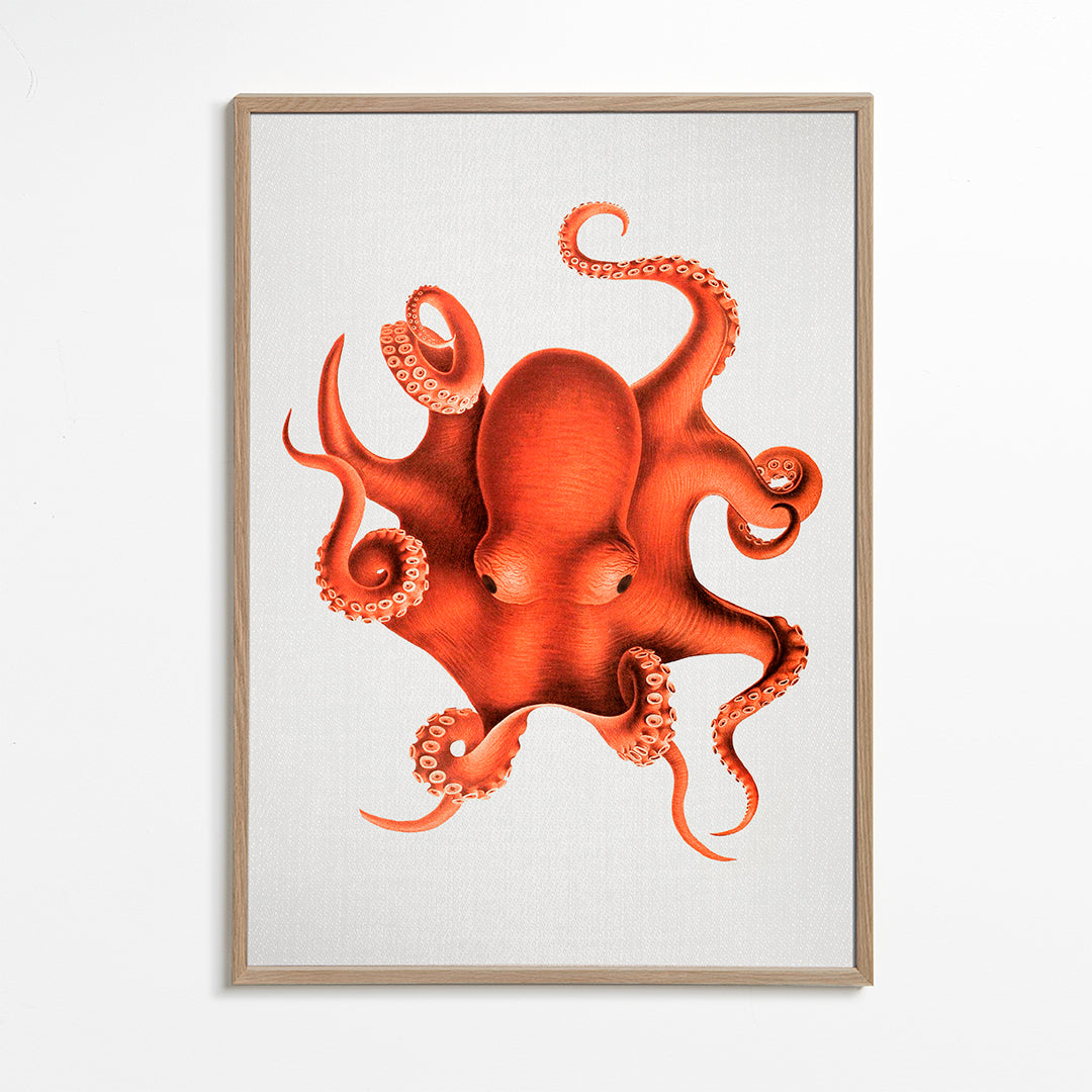 Blotfiskillustration i rød