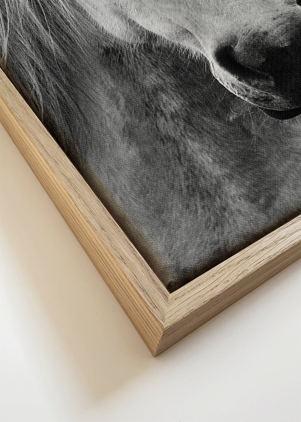 Kunst to heste nærbillede