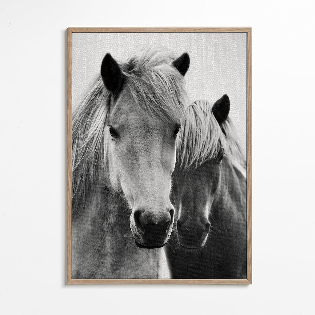 Kunst to heste nærbillede