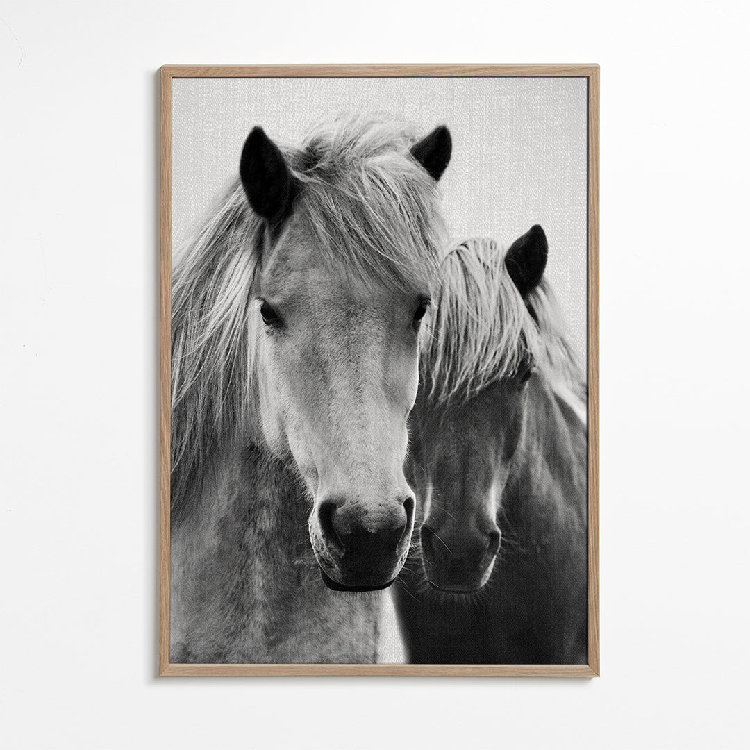 Kunst to heste nærbillede