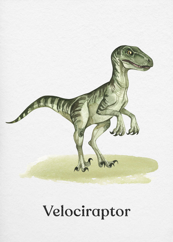 Velociraptor illustration til børn